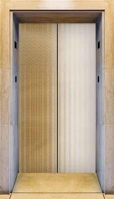 Edelstahlblechhaarstrichendeinnenausstattung des Aufzugs ss304