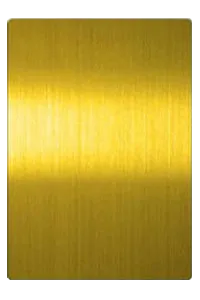 Gold- gebürstetes Edelstahl-Haarstrichende | TBK-Metall